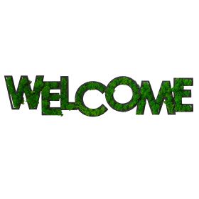 WELCOME Letter Art Moss Wall Decorations (Color: Green)