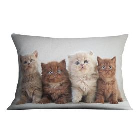 Four various british kittens Cushion (Insert: With Insert, size: 16" X 16")