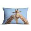 Giraffe couple in love with blue sky on background Cushion