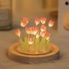 1pc Tulips Gifts For Women Flower Gifts For Her Gifts For Women Birthday Xmas Gift For Mom; Artificial Decor In Glass Dome With Led Light Night L