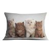 Four various british kittens Cushion