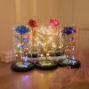 1pc Roses Gifts Artificial Flower Rainbow Rose Light Up In A Dome Gift For Mom Sister Wife Women Birthday Valentines Mother's Day Christmas Engag